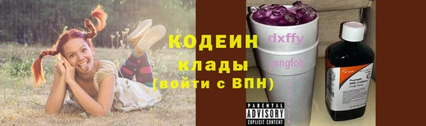 бошки Кодинск