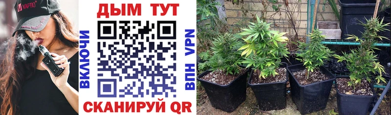 Канабис индика Мышкин